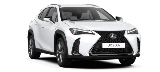 auto lexus 250h bearent noleggio
